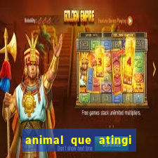 animal que atingi 230 decibeis